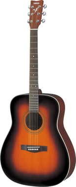 Acoustic Guitar F370